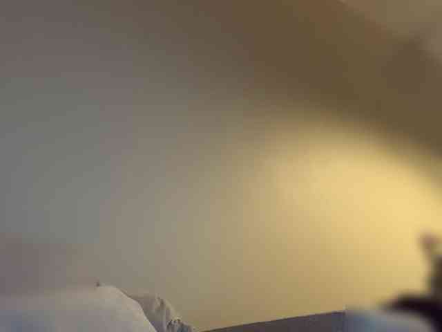 Youngstud37 Youngstud37