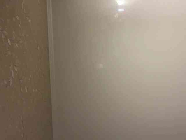 KittyTrisha webcam