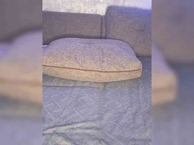 Anastasia-Sladkaya webcam