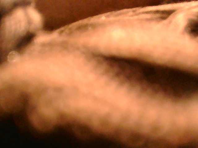 SexyBanni's BongaCams show and profile