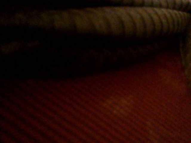 SexyBanni's BongaCams show and profile