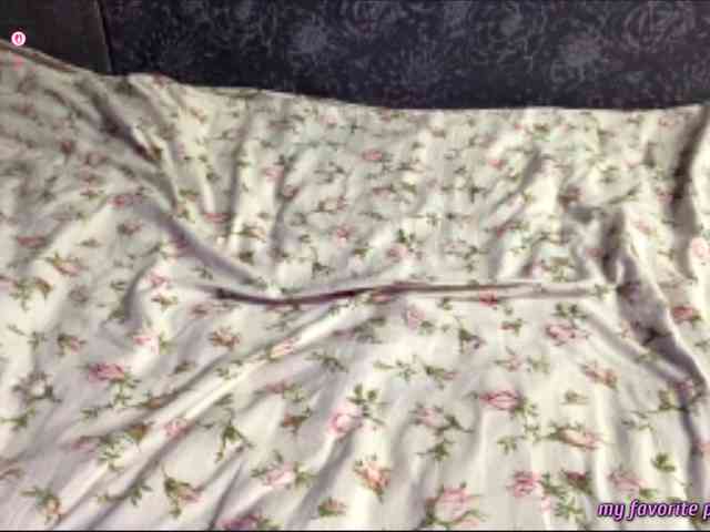 ShielaKlabunde webcam