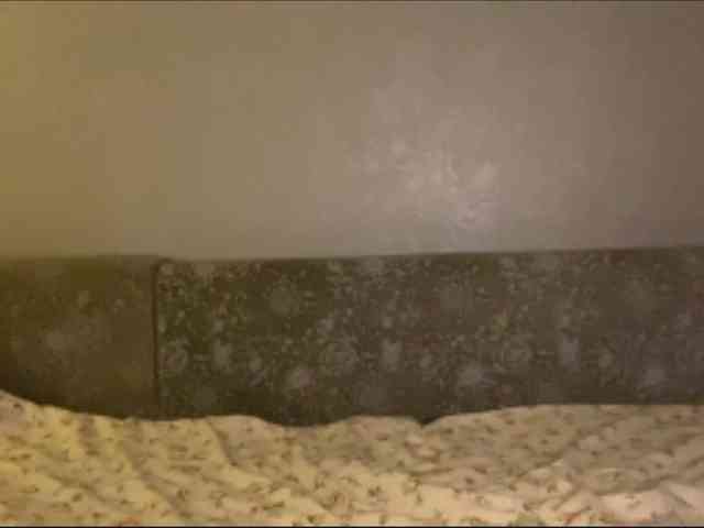 ShielaKlabunde webcam