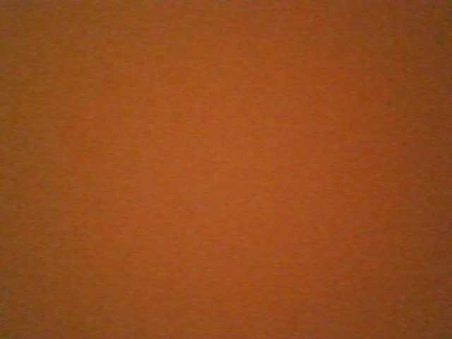 VelvetSin8 from BongaCams is Freechat