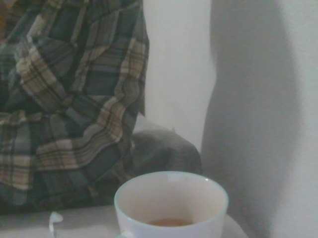 VelvetSin8's BongaCams show and profile