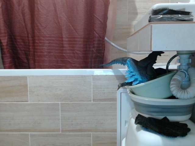 VelvetSin8's BongaCams show and profile