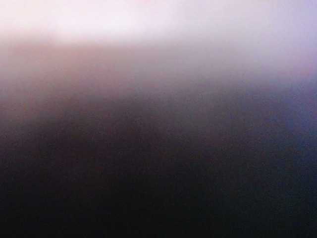 Profile and Statistics for Tez-y-elking on BongaCams