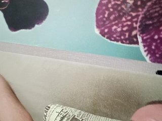 Zaichullek Porn Show