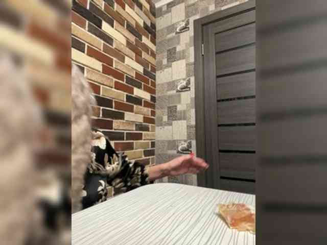 Zaichullek Zaichullek