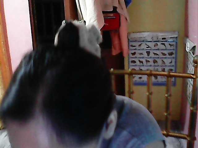 BongaCams MystiqueMiss is Freechat MystiqueMiss — #ValentinesDay!