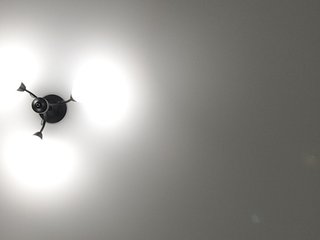 LillyJosepha Porn Show