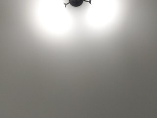 LillyJosepha Porn Show