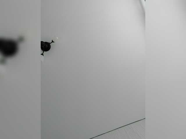 LillyJosepha's BongaCams show and profile