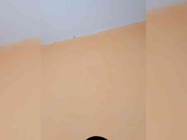 Cedrik1 Live Webcam on BongaCams