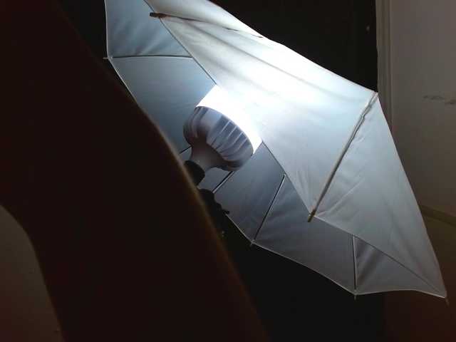 MissCatty's BongaCams show and profile