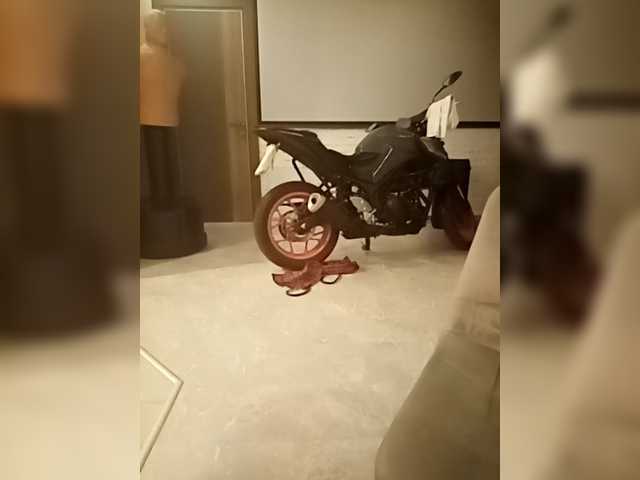 Fox-mia's BongaCams show and profile