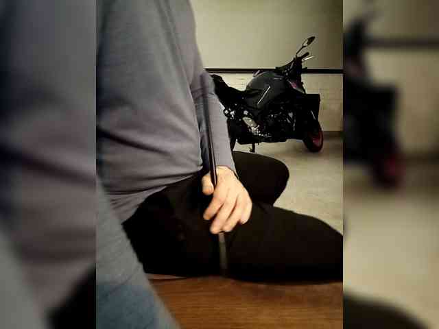 adult cam xxx Fox-mia