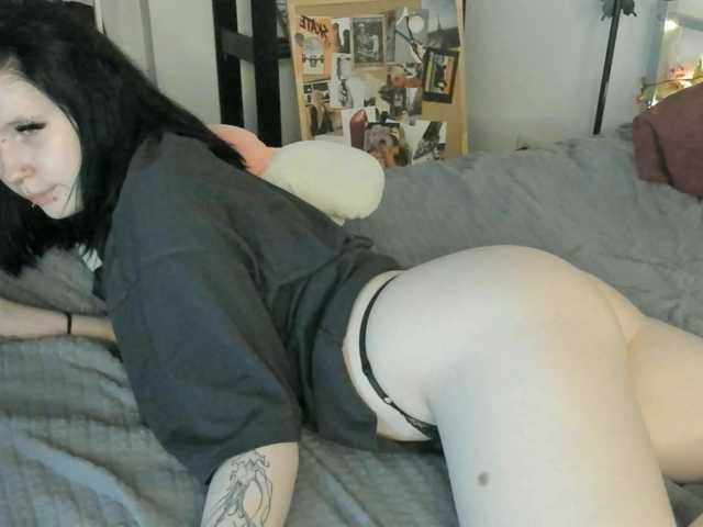 PaleVibe's BongaCams show and profile