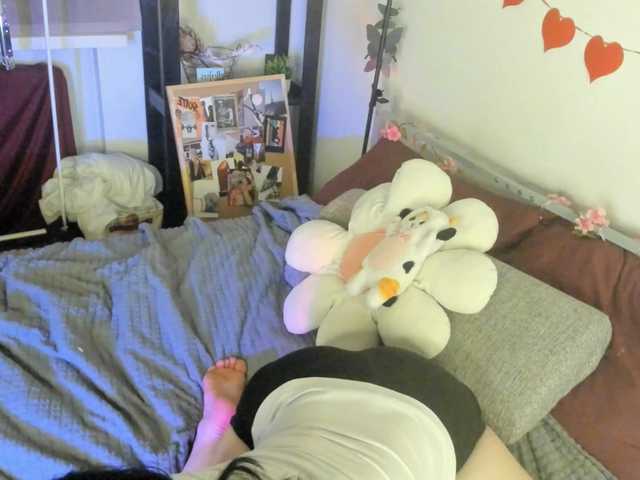 PaleVibe's BongaCams show and profile