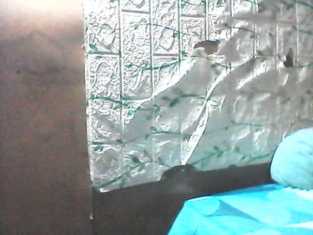 Preview of sweetthoney09