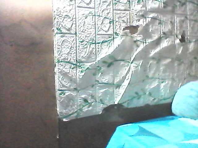 Preview of sweetthoney09