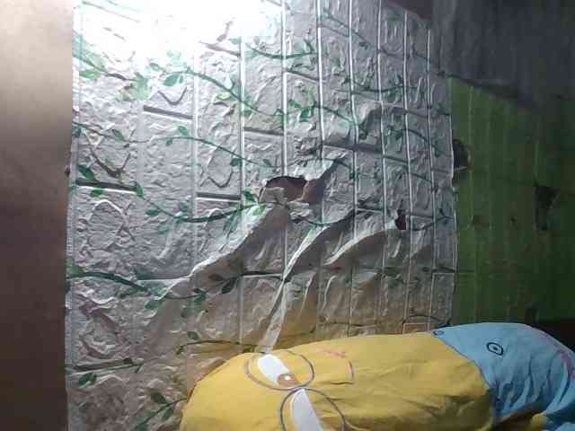 sweetthoney09 sweetthoney09