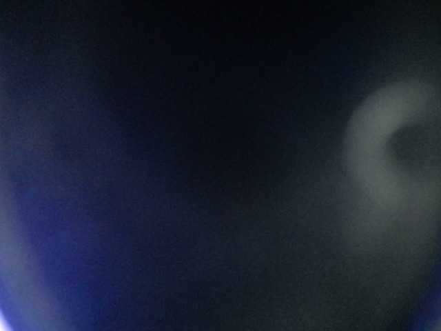 paula-ross's BongaCams show and profile