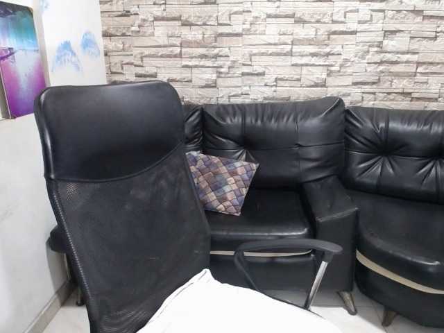 Preview of paula-ross