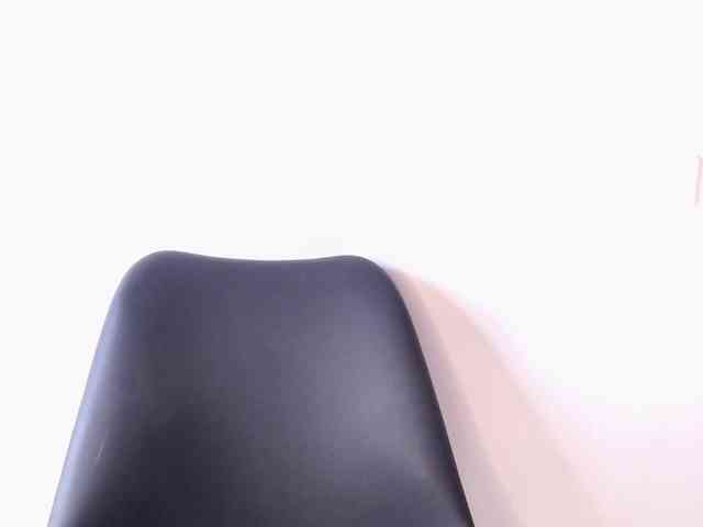 Bella-palmers webcam