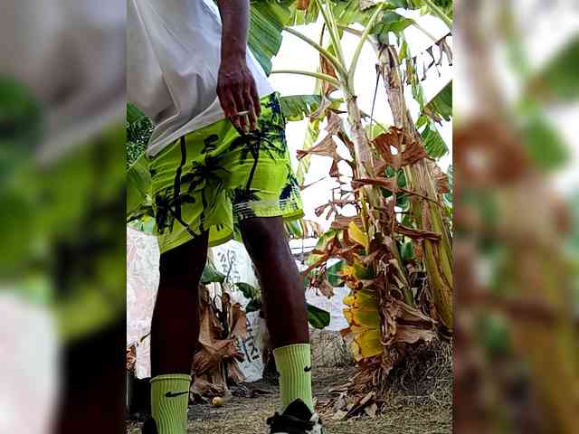 blackmasterpiss blackmasterpiss