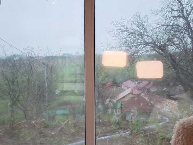 Ellaxxxstar Live Cam on BongaCams