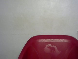 BahdgurlShelly7 Porn Show