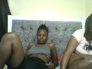 Vivid-girls Porn Show