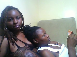 Vivid-girls Porn Show