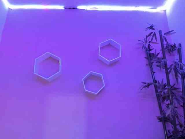 PARKERCINTHIA webcam