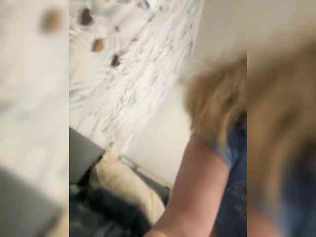 ZeLeNoGlAzAyA30 webcam