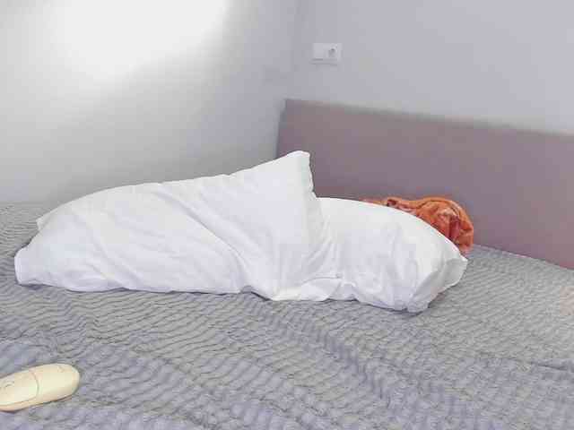 PuddingPantie webcam