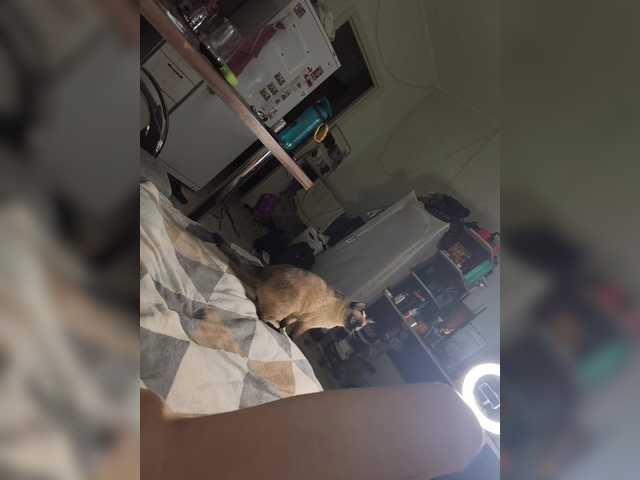 Sluttyfuck25 video chat preview