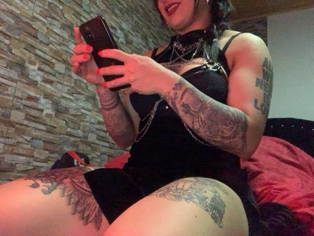 MishelleZakii free chat on liveonude