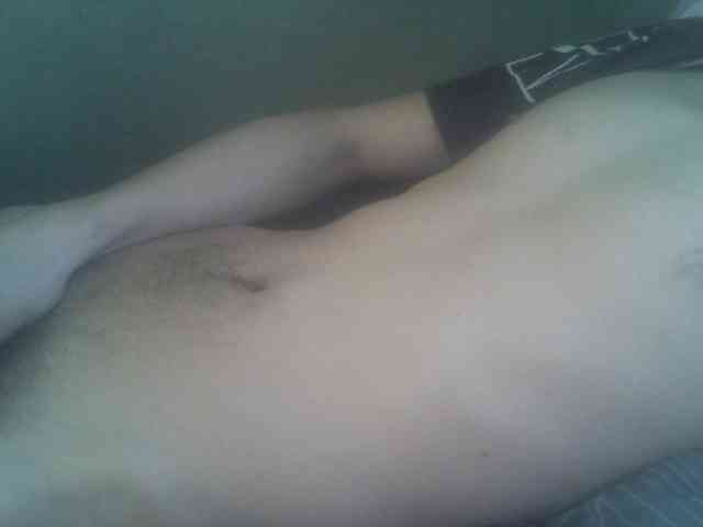 Pauk13 Pauk13