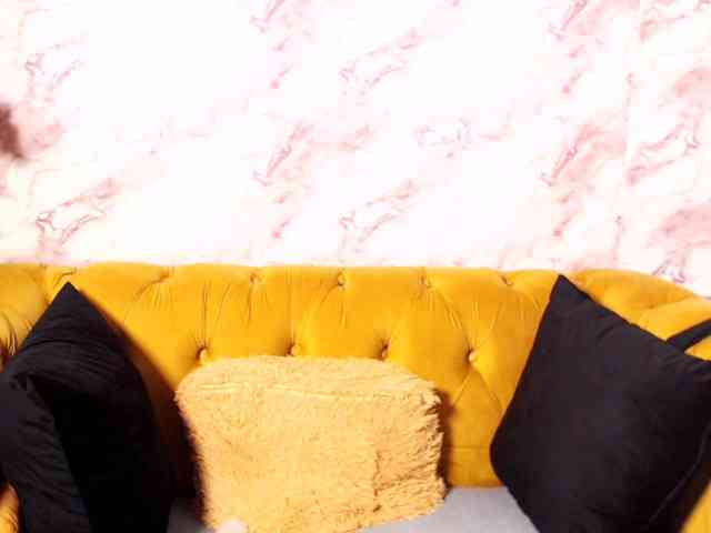 sexyBellaXXXa webcam