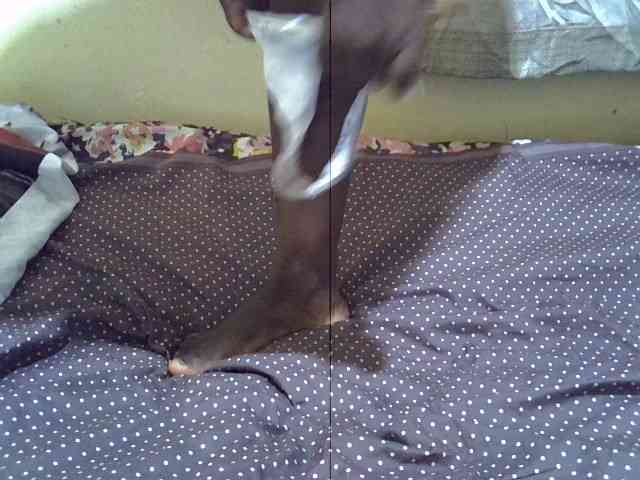 Hot-sissy Live Webcam on BongaCams