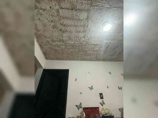 SophiaUniverse webcam