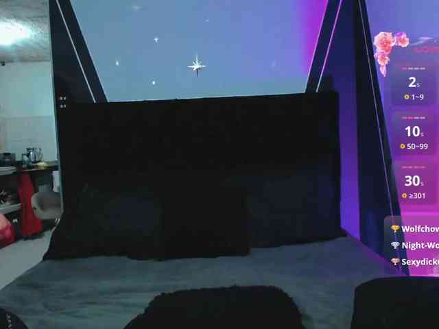 SophiaUniverse webcam