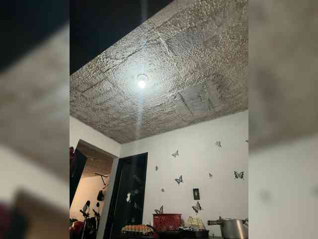 SophiaUniverse SophiaUniverse