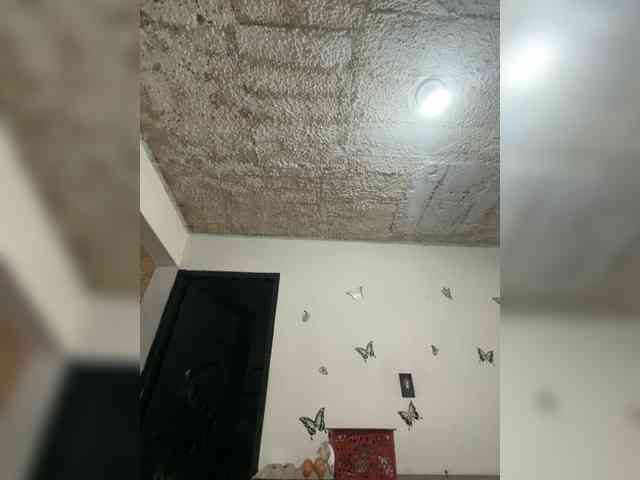 SophiaUniverse webcam