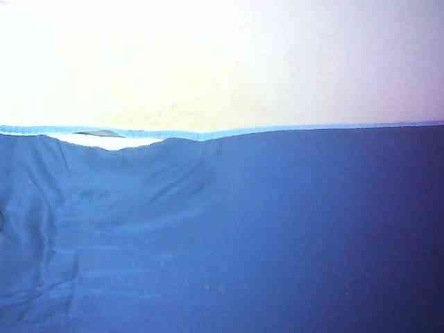 Hairy-ebony-couple webcam