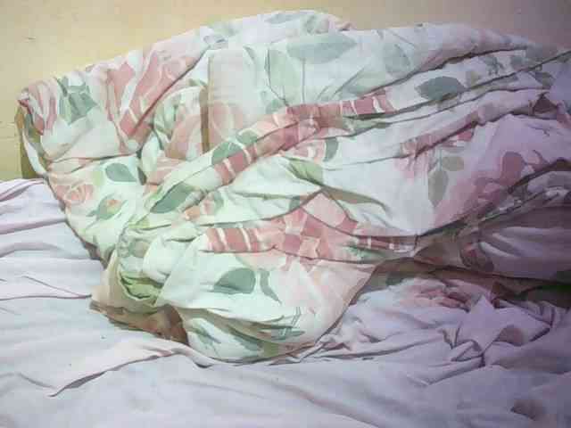 Hairy-ebony-couple webcam