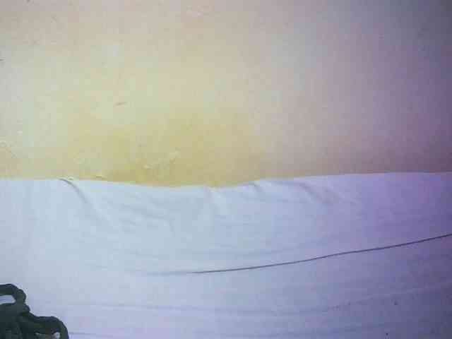 Hairy-ebony-couple webcam