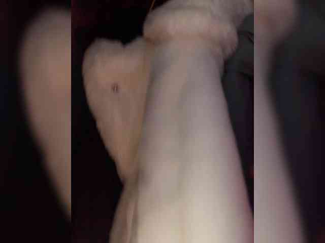 Anastasia7072 webcam